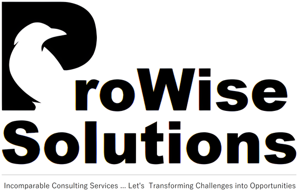ProWise Solutions
