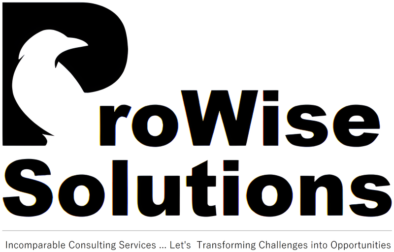 ProWise Solutions